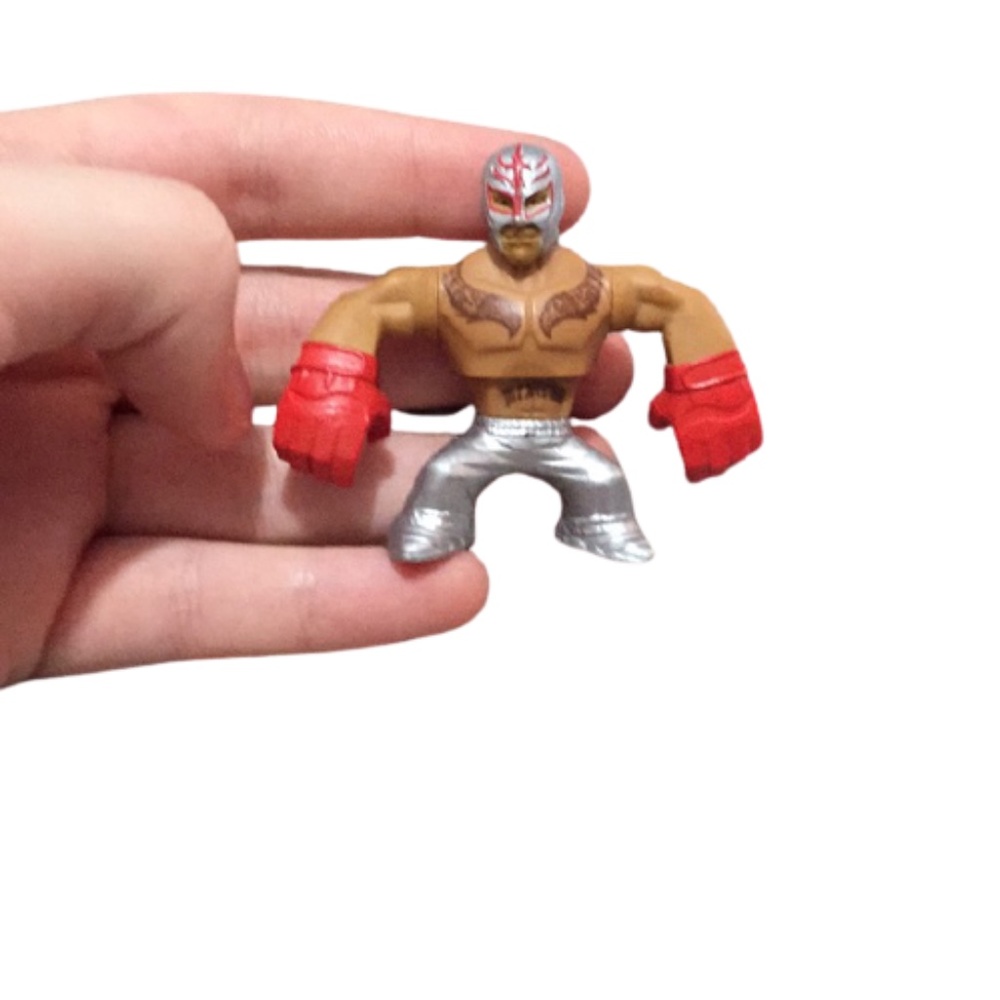 mini WWE wrestler